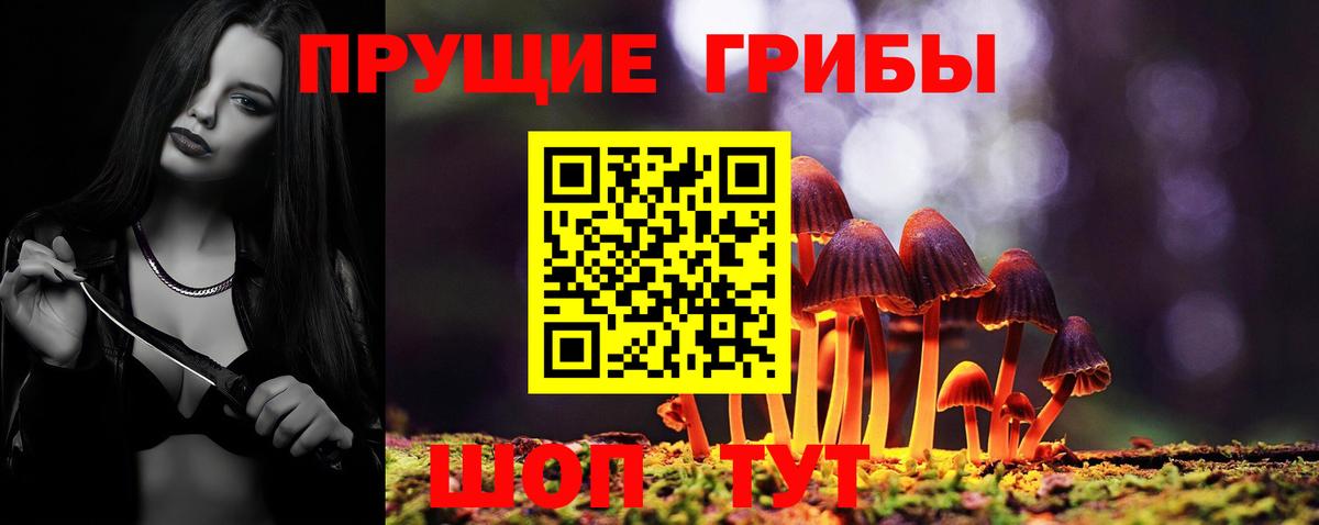 Кировск  Галлюциногенные грибы MAGIC MUSHROOMS  Галлюциногенные грибы MAGIC MUSHROOMS  Вход с VPN 