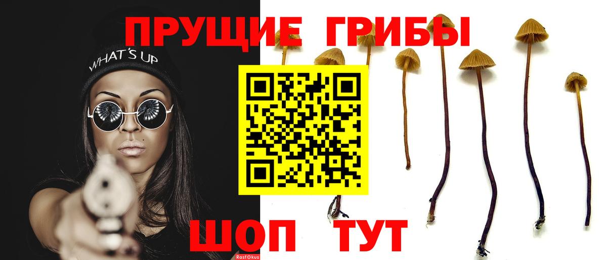 Псилоцибиновые грибы GOLDEN TEACHER Кировск
